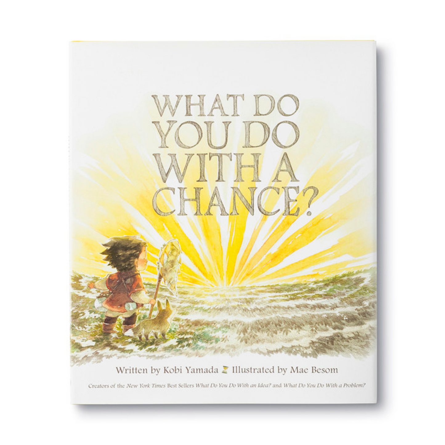 What Do You Do With A Chance Book