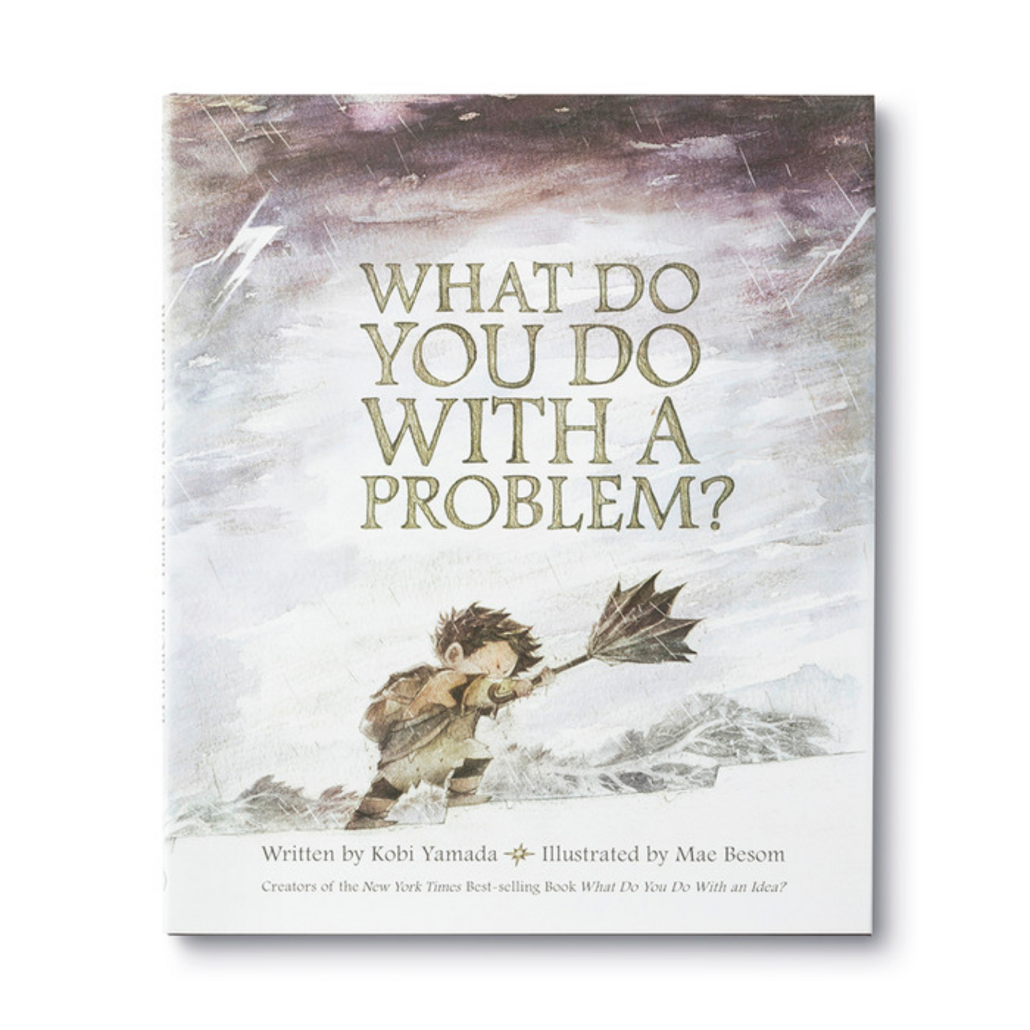 What Do You Do With A Problem Book